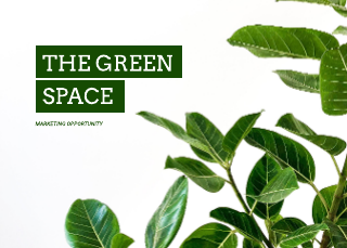 The Green Space Pitch Deck