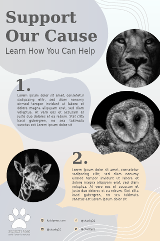 Support Our Cause Charity Infographic Template