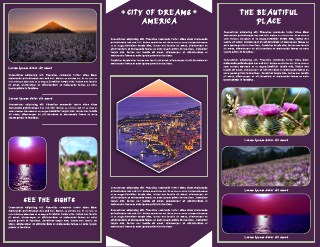 Violet Travel Brochure