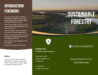 Science Forestry Brochure Template