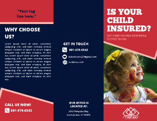 Pink Blue Insurance Brochure Template