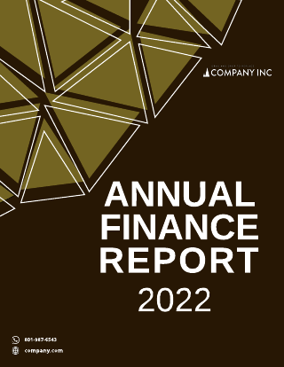 Dark Triangle Finance Annual Report Template