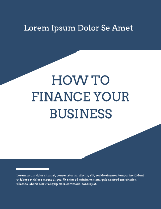 Business Financing Whitepaper Template