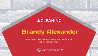 Red Cleaning Business Card Template