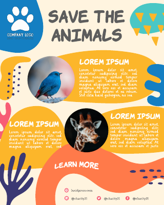 Save The Animals Charity Infographic Template