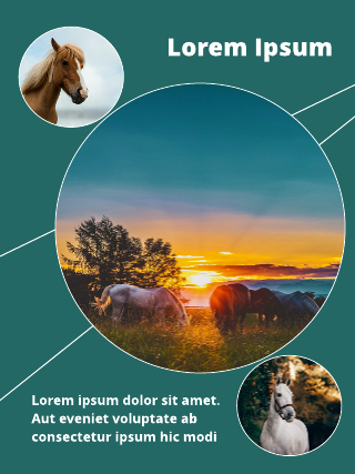 Horse Sunset Poster Template