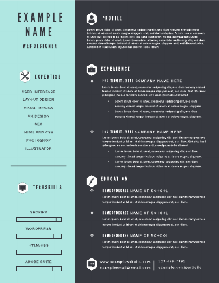 Timeline and infographic resume template