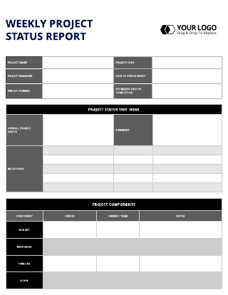 Detailed Blue Project Status Report Template