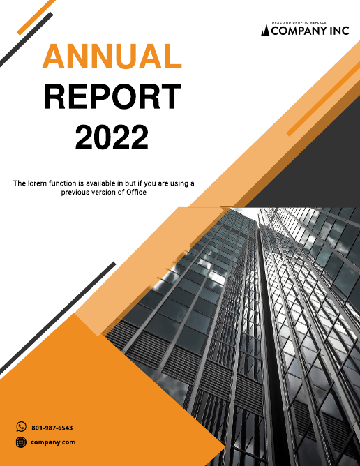 Orange Finance Annual Report